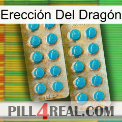 Erección Del Dragón new08